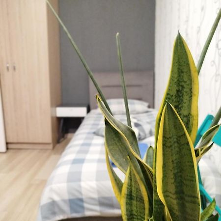 罗夫诺Elena公寓 外观 照片